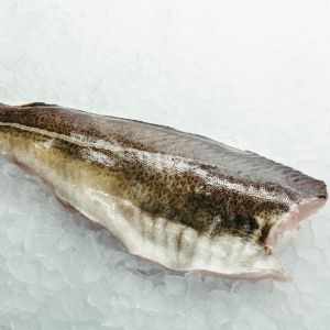 Skreifilet, frisch, mit Haut, 500g